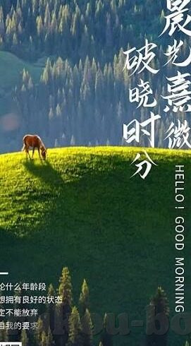 传媒麻豆-传媒新宠，解读麻豆现象