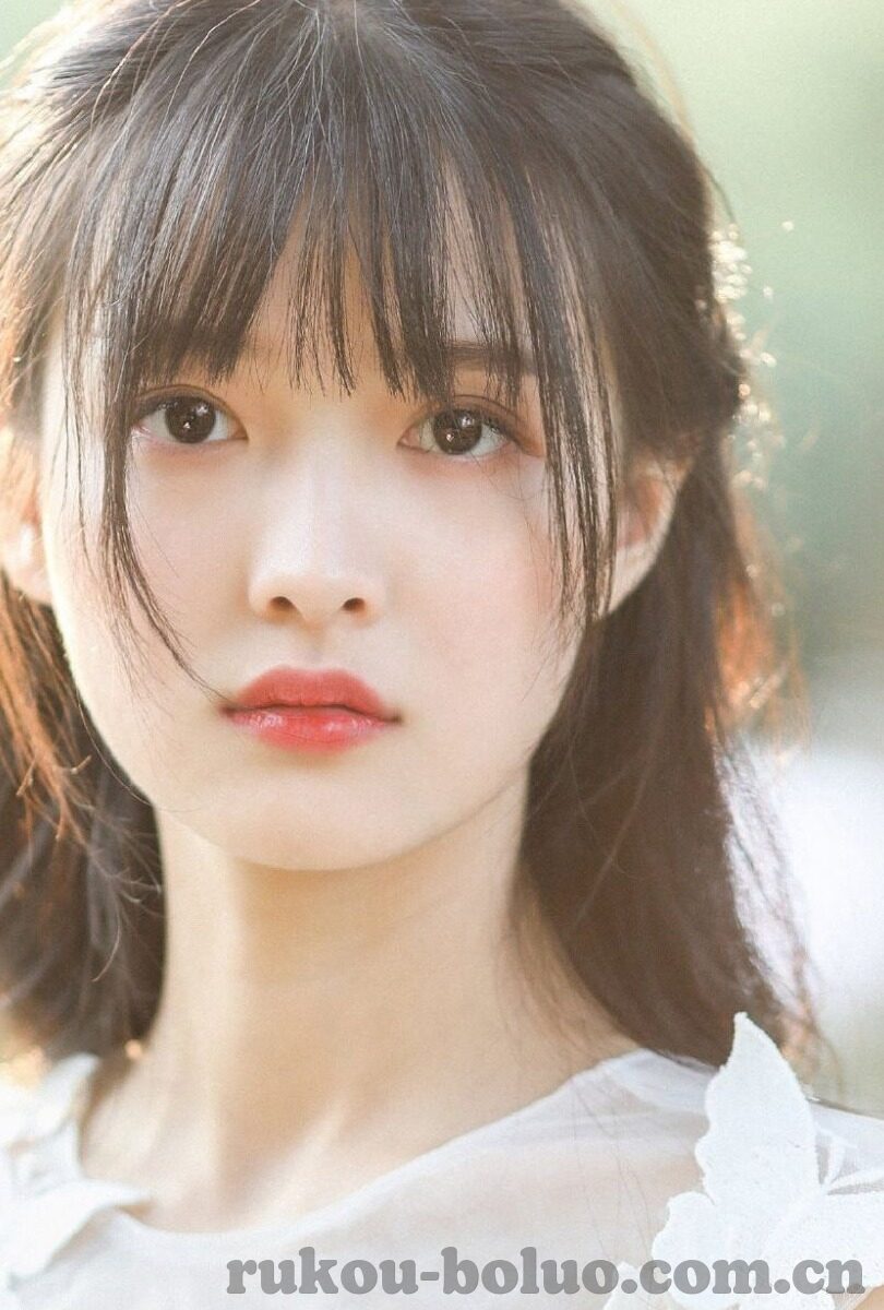 大象传媒回家导航-回家的路，大象传媒与智能导航的奇妙邂逅