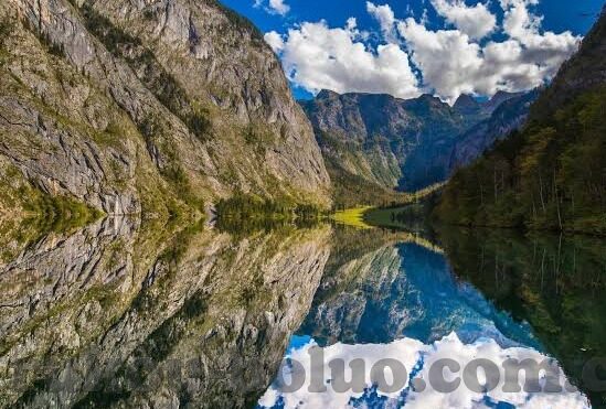 麻豆传媒网站入口-麻豆传媒的模糊真相