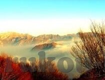 麻豆视频app在线-眼观繁星，麻豆视频app，网络视界的独特风景