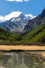 麻豆下载app下载苹果-麻豆下载，了解背后的逻辑与风险