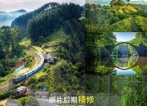 四虎人妻-探索四虎人妻现象的背后，爱与忠诚的复杂交织