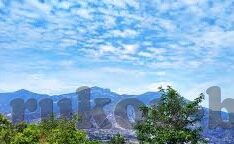 糖心家族幼儿园官网-探索糖心家族幼儿园——童年的温馨起跑线