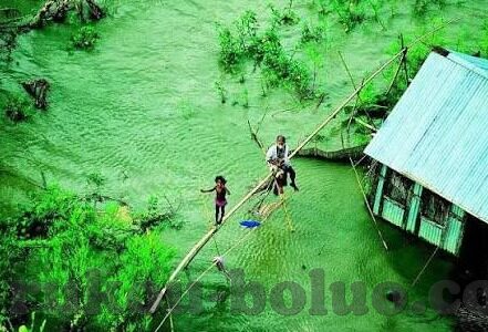 糖心vlog在线观看官网-别具一格的记录，在糖心Vlog的旅程中寻找独特视角