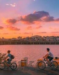 影音先锋资源中文字幕-影音先锋，解锁中文字幕的视听盛宴